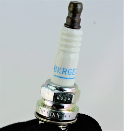 BMW Zündkerzen Set NGK Laser Platinum 3199 - 6-teilig