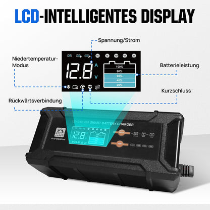ECO-WORTHY 12V/24V 20A LiFePO4 Batterieladegerät Multi-Current
