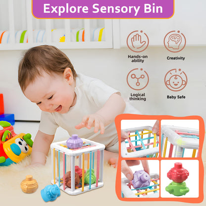 Weilim 6 in 1 Montessori Spielzeug Baby, Motorikspielzeug ab 6 Monate
