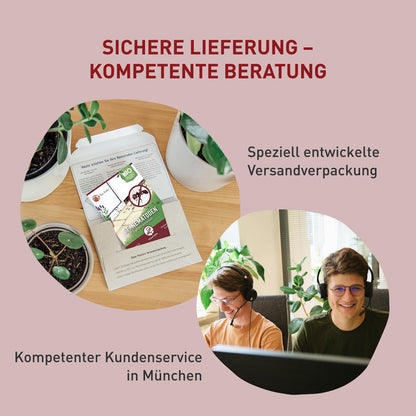 Plantura SF-Nematoden: Biologische Ameisenbekämpfung – 100 Mio