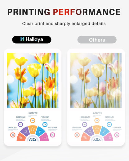 Halloya DR-243CL DR243 Trommeleinheit für Brother – 4er-Pack