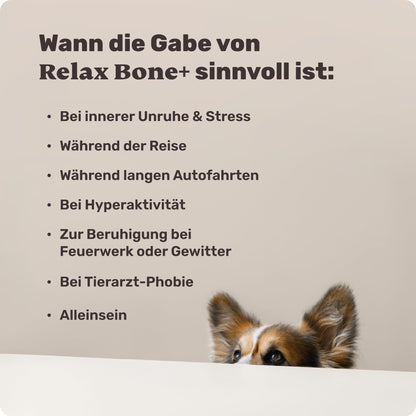mammaly Relax Bone+ Kauknochen mit Kamille & Lavendel, 17 cm
