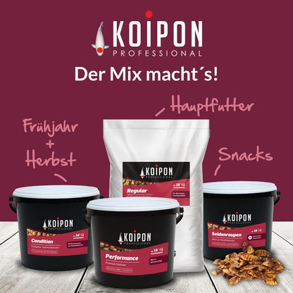 KOIPON Energy Winter Koifutter sinkend 6mm Pellets – 5 kg