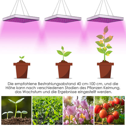 Randaco LED Pflanzenlampe Vollspektrum, 2x45W, 225 LEDs, 4050 lm