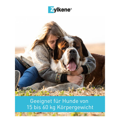 Zylkene 450 mg Ergänzungsfuttermittel für grosse Hunde - 50 Kapseln