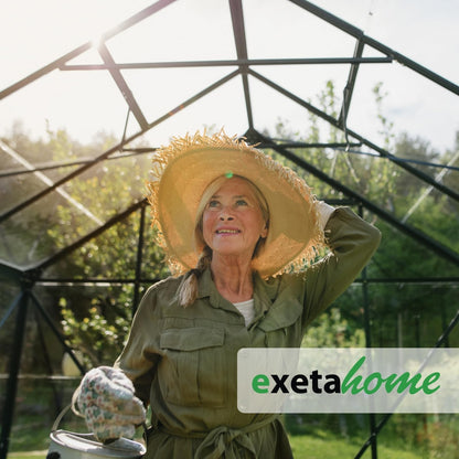 Exeta Hohlkammerplatten für Gewächshaus 10 Stk 6mm Transparent