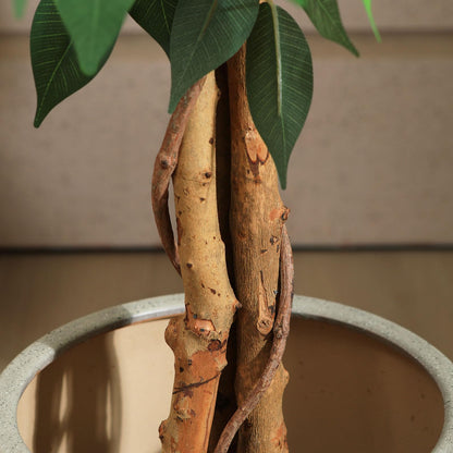 SOGUYI Kunstpflanze Ficusbaum 120 cm mit Naturholzstamm