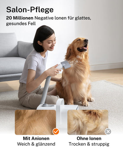 HomeRunPet PD10 Hundefön, Hundetrockner, 43 dB, 120 m/s, 3 Düsen