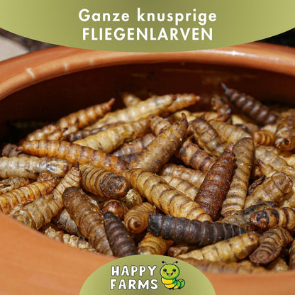 HappyFarms Getrocknete Soldatenfliegenlarven Futter 10kg