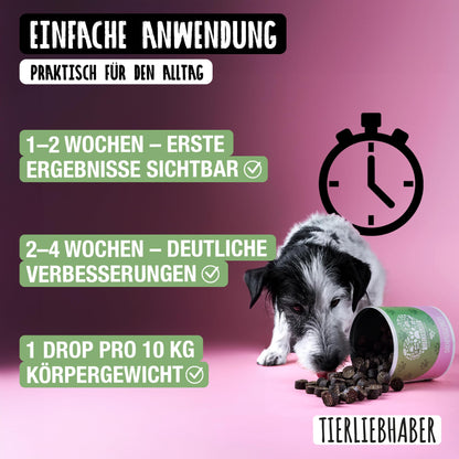 TIERLIEBHABER Darmpflege Drops für Hunde, 350 g (ca. 115 Stück)
