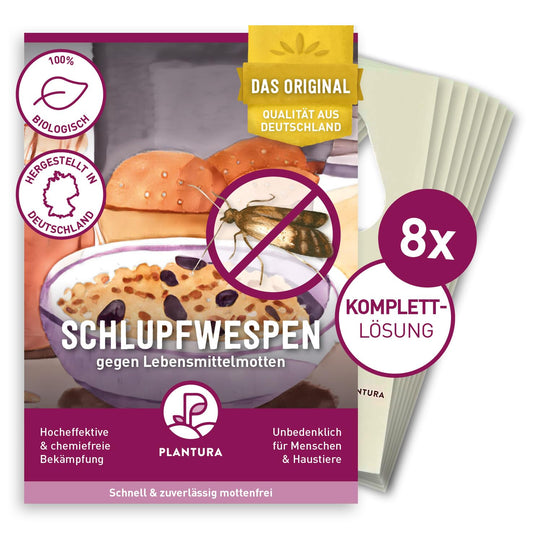 Plantura Schlupfwespen gegen Lebensmittelmotten – 24 Karten. Weiße, rechteckige Karten zur Freisetzung von Schlupfwespen in Haushalten.