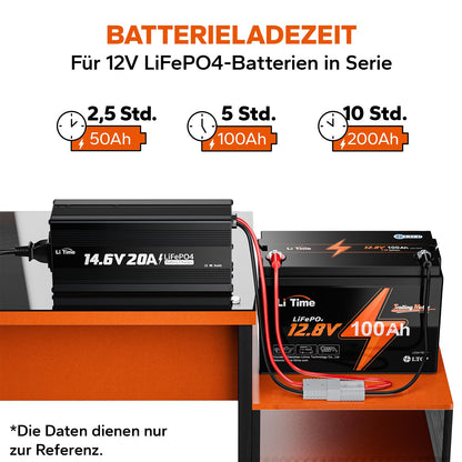 LiTime LiFePO4 Batterieladegerät 14,6V 20A mit Anderson Stecker