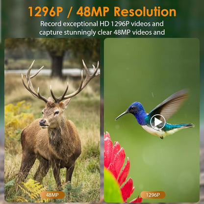 Wildkamera 64MP 1296P – Nachtsicht Outdoor Überwachung