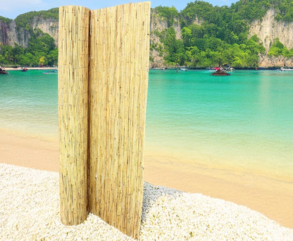 bambus-discount.com Schilfrohrmatte Premium Beach Sichtschutz 200x600