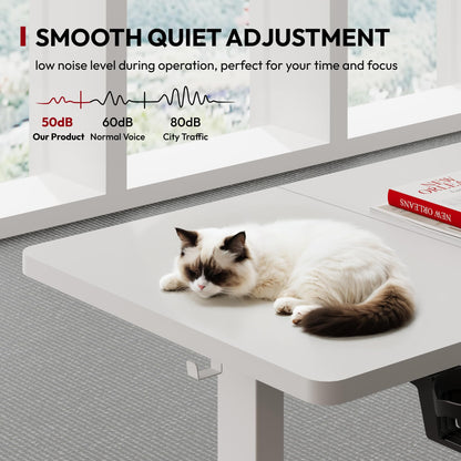 SANODESK Höhenverstellbarer Schreibtisch Elektrisch 110x54 cm weiss