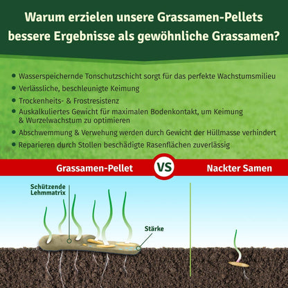 Veddelholzer Garten Dürreresistenter Rasen Rasenpellets 240 m² Schatten