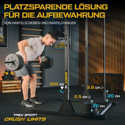 TREX SPORT Power Tower TX-100PR Dip-Station mit Klimmzugstange