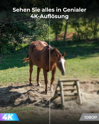 Reolink Go PT Ultra 4K 4G LTE Überwachungskamera mit Solarpanel