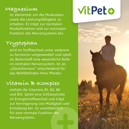 VitPet+ MagRelax Magnesium für Pferde mit Tryptophan, 2 kg