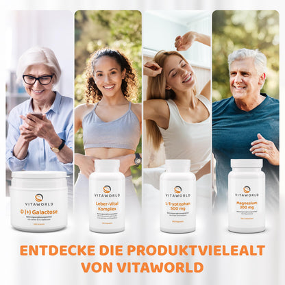 Vita World D(+) Galactose Pulver 500 g – hochreiner Einfachzucker