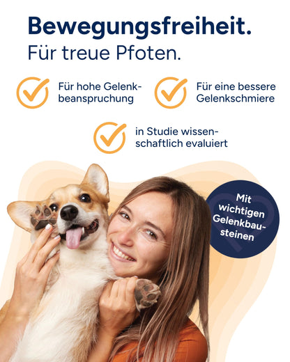 NutriLabs Canicox-HD Gelenktabletten für Hunde, 100 Kautabletten