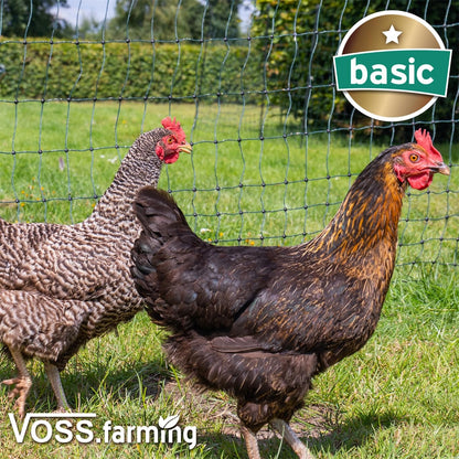 VOSS.farming Geflügelnetz Basic Hühnerzaun 50m x 112cm Grün