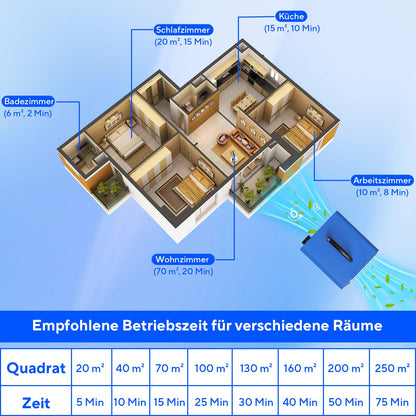 Fwiull Ozongenerator HS-G03 65.000 mg/h mit Timer, bis 300 m²