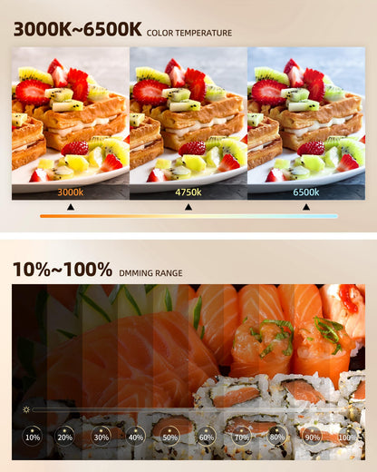 LUXSURE Ringlicht mit Stativ, Overhead Handyhalter für Food-Videos