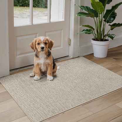 DEXI Schmutzfangmatte Innen 92x142 cm Dünn Rutschfest – Beige