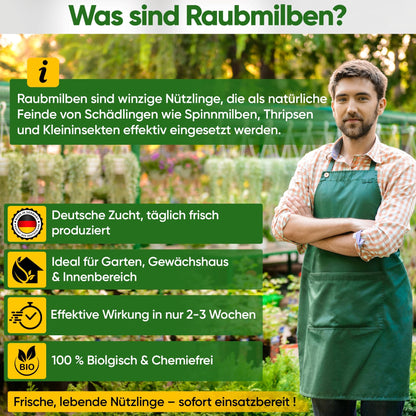 GREEN GUARDIA Power Raubmilben Mix gegen Thripse & Spinnmilben – 50 Mix