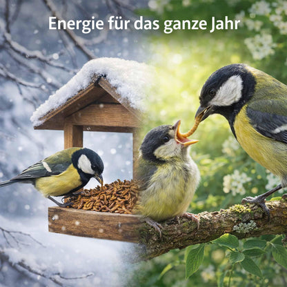 Samore Mehlwürmer getrocknet 5 kg, Futter für Vögel, Fische, Nager
