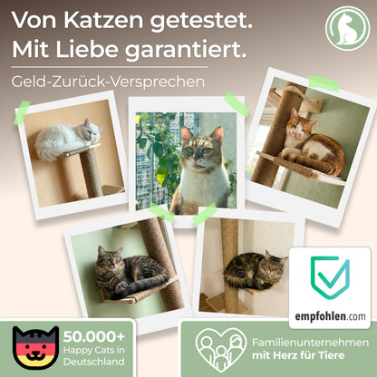 WOOWOOD Kratzbaum zur Wandmontage, höhenverstellbar bis 206 cm