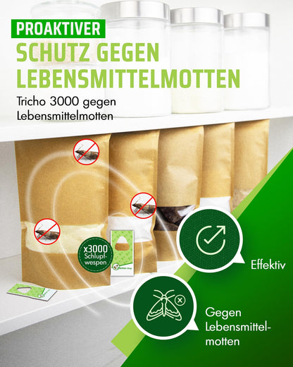 Der Motten-Shop® Schlupfwespen gegen Lebensmittelmotten 9 Karten