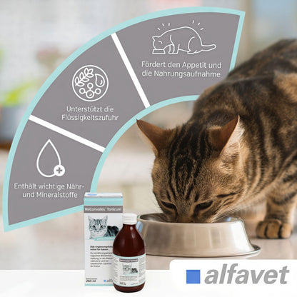 Alfavet ReConvales Tonicum Katze, Ergänzungsfuttermittel, 2 x 280 ml