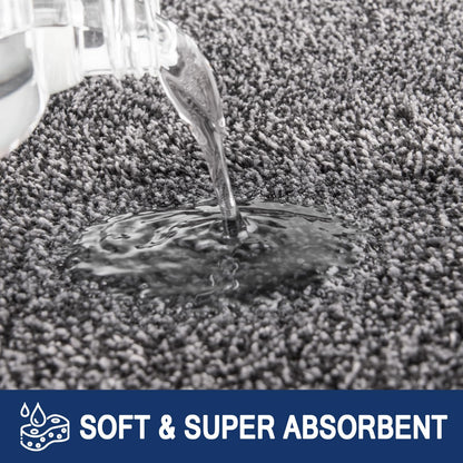 FCSDETAIL Schmutzfangmatte Innen – 86x150 cm Rutschfest