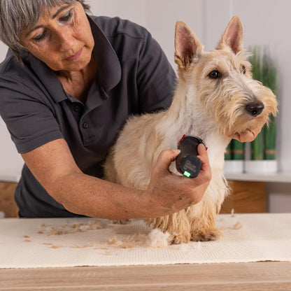 Agrarzone Wahl Moser Arco Pro Hundeschermaschine 2x Akku
