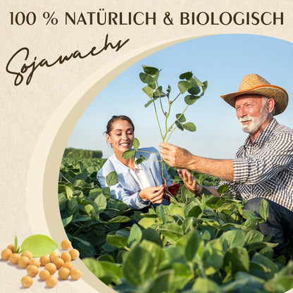 100% Natürliches Sojawachs Premium Kerzenwachs – 10KG