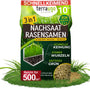 TerraUno Rasensamen schnellkeimend RSM, 10 kg für 200 m² – Grassamen für Neuanlage und Nachsaat