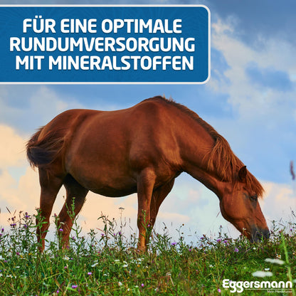 Eggersmann Mein Pferdefutter Golden Mineral Mineralfutter 25 kg
