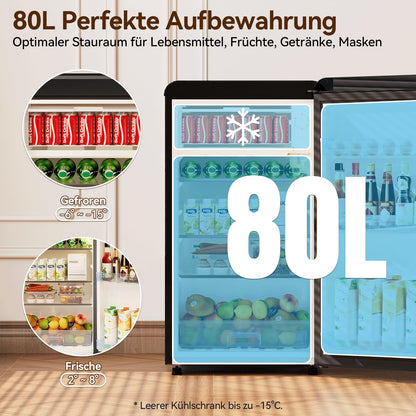 TRIUMPHKEY Retro 80L Mini-Kühlschrank mit Gefrierfach – schwarz