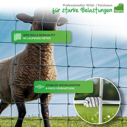 Panorama24 Wildzaun 150/13/15 Knotengeflecht 50m