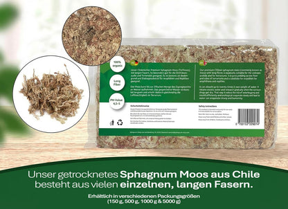 Sphagnum Moos aus Chile 1 kg – Torfmoos Substrat für Orchideen