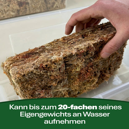 Sphagnum Moos aus Chile 1 kg – Torfmoos Substrat für Orchideen