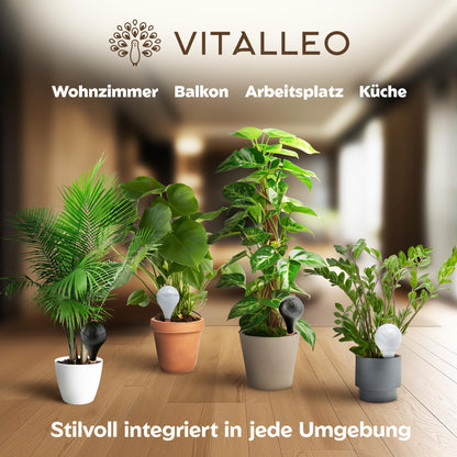 VITALLEO Bewässerungskugeln XL 400 ml, 6er-Set, schwarz