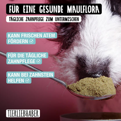 TIERLIEBHABER Zahnfee Pulver – Zahnpflege für Hunde, 200 g