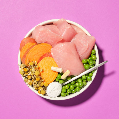 Pooch & Mutt Ruhe & Balance Hundefutter – Truthahn Süsskartoffel 10kg