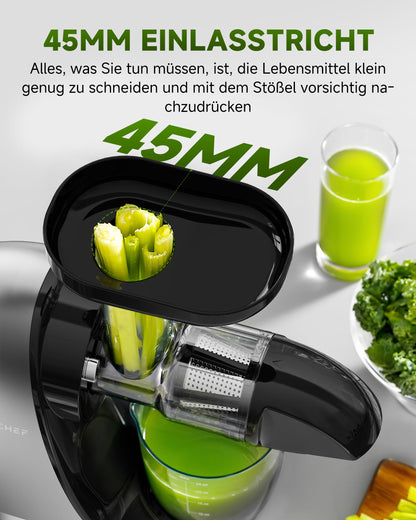 AMZCHEF Slow Juicer Entsafter für Gemüse & Obst - Silber