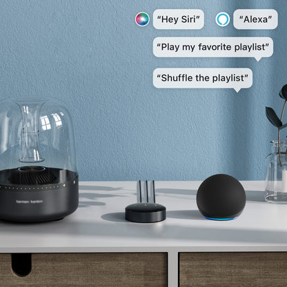 WiiM Mini AirPlay 2 Wireless Audio Streamer Hi-Res Multiroom