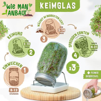 zengreens® Bio Sprossen Anzuchtset Sprossenglas – 1er Set