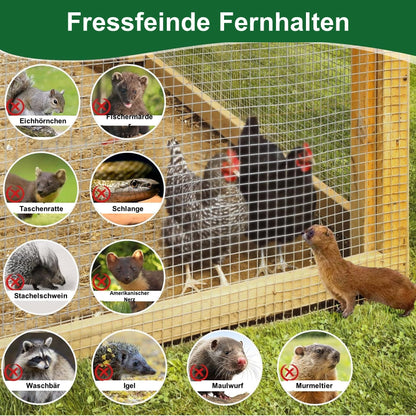 Amagabeli Drahtgitter Volierendraht 1m x 20m, 12x12mm, Feuerverzinkt